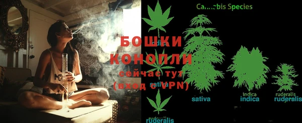 mdpv Лагань