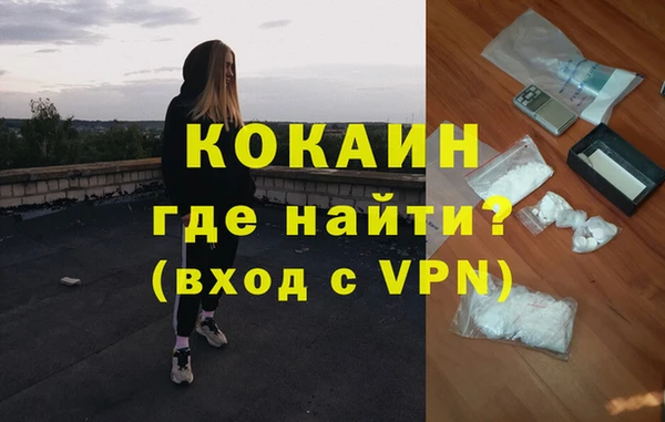 крисы Нижний Тагил