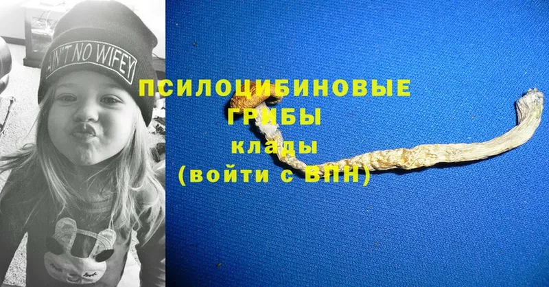 Галлюциногенные грибы мицелий  где купить   даркнет как зайти  Отрадная 